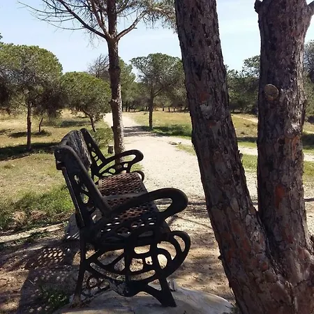 דירה Studio Bellavista *