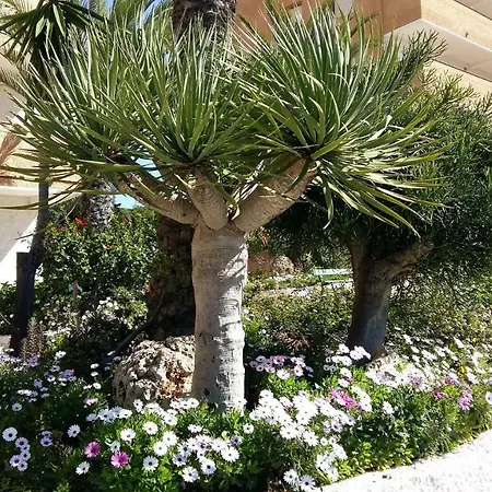 Studio Bellavista Διαμέρισμα La Mata (Torrevieja)